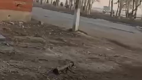 Batlle for Mariupol