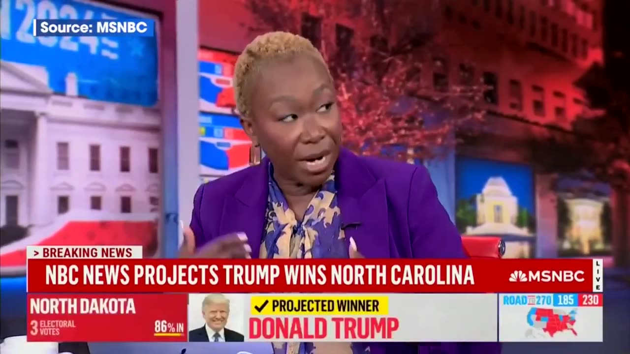 WATCH as the WOKE LIBERAL MEDIA MELTDOWN Over 2024 Election Results!