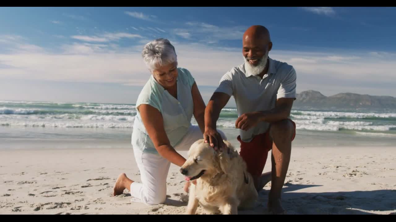 Senior african american couple petting a dog at the beach