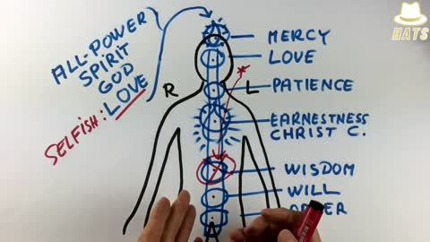 How The Chakra System & All Its Functionality Works In Synergy With The Physical Body