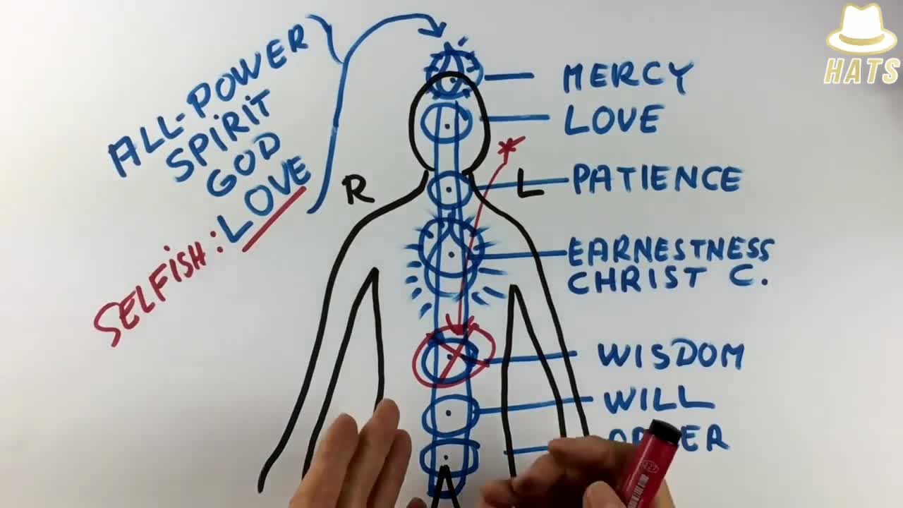 How The Chakra System & All Its Functionality Works In Synergy With The Physical Body