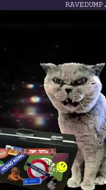 Bubbles takes a trip - banging techno 🍔