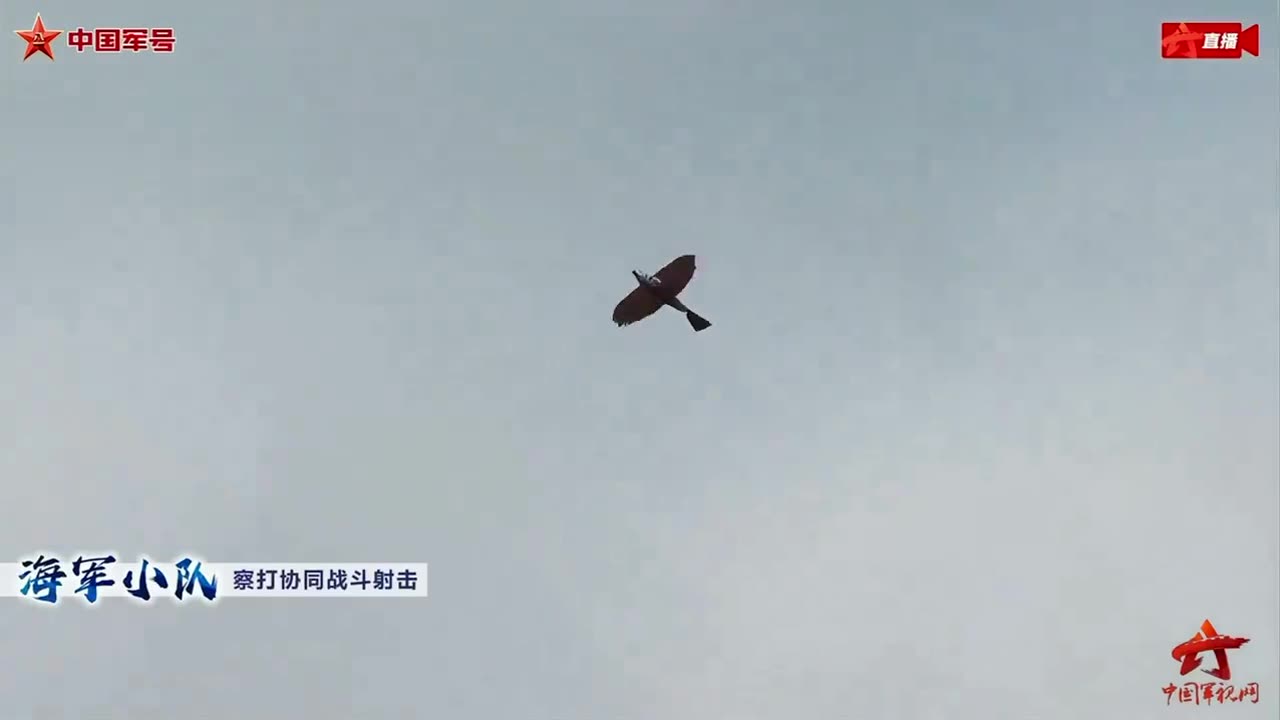 China has developed a bird-shaped drone, further pushing the boundaries of military technology