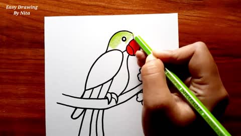 How To Draw Parrot For Beginners -- Parrot Drawing Colour -- Parrot Drawing Tutorial -- Bird Drawing