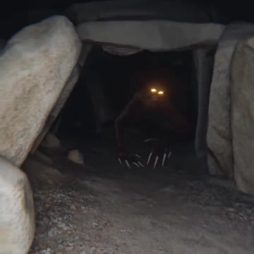 What would you do if you saw this