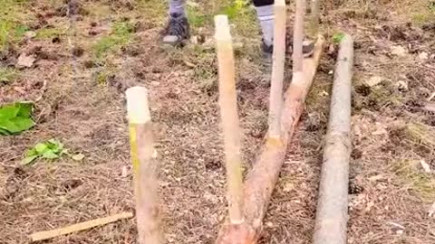 Survival ideas
