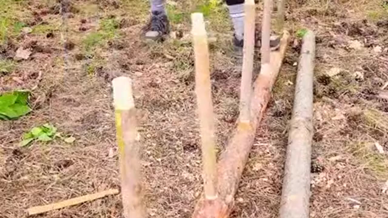 Survival ideas
