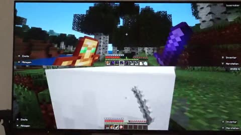 Wir bauen unser eigenes Land in minekraft teil1