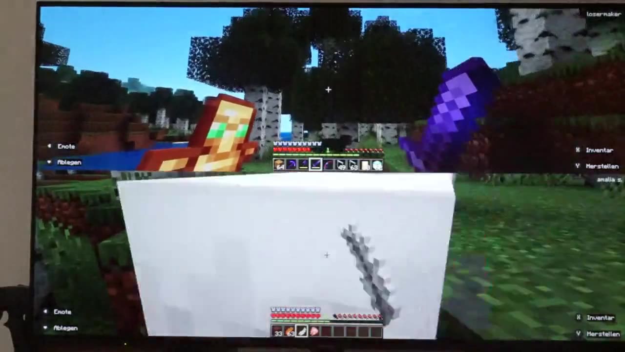 Wir bauen unser eigenes Land in minekraft teil1