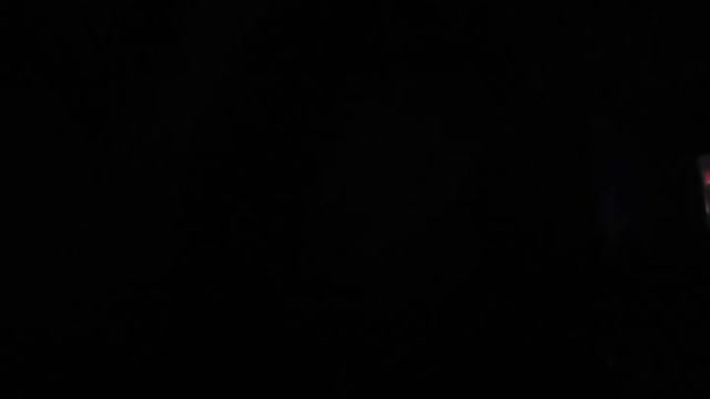 Black Label Society "Bleed For Me"