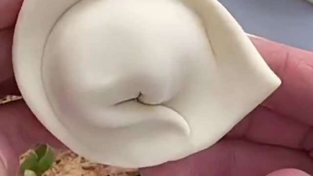 dumplings#dumpling