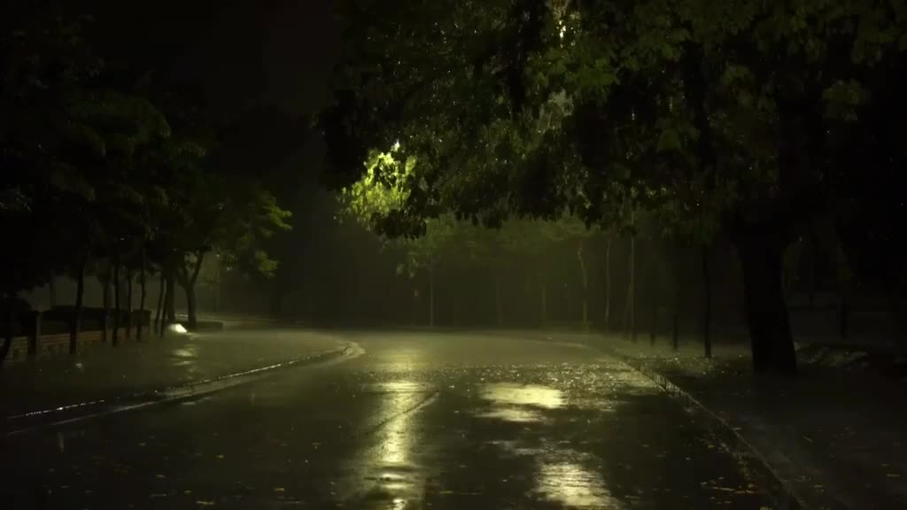 If you love rain, this video is for you....