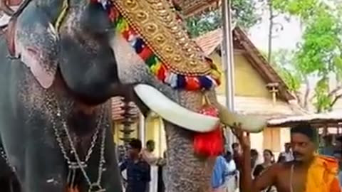 അമ്പലപ്പുഴ വിജയകൃഷ്ണൻ . .