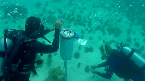 Earth Expeditions CORAL Probes the Great Barrier Reef