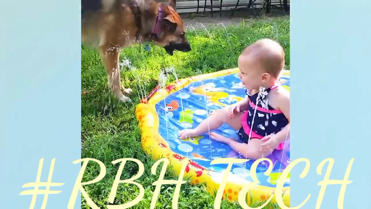 Baby Playing With dog