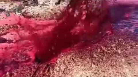 Strange phenomena are happening all over the world.