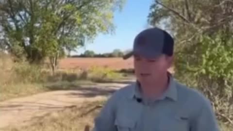 Do You Like Cows?