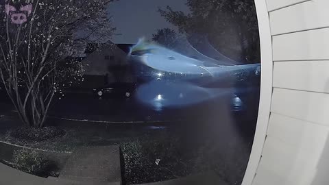 This Eerie Footage Will Add a Little Mystery to Your Day