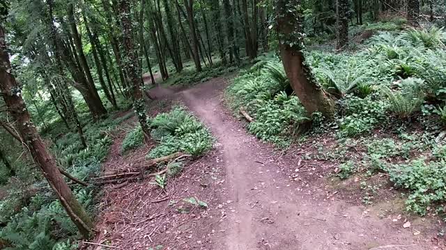 Little trail jump