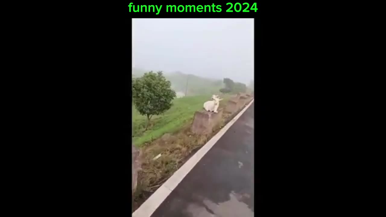 Funny moments 2024 compilation part 3