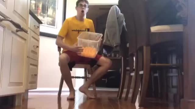 My Tik Tok