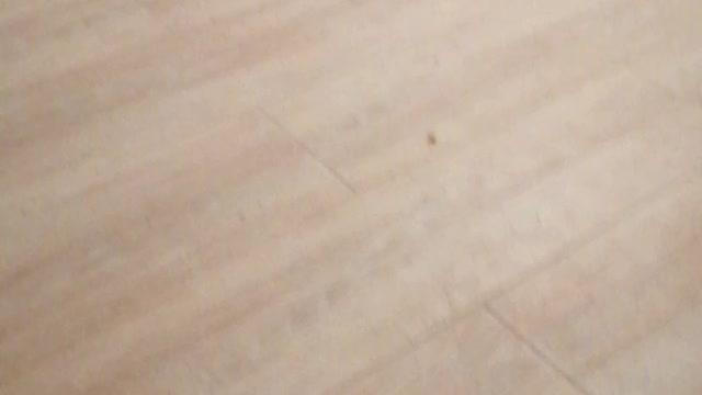 My friend's shoe.