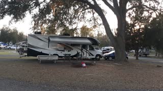 Moonshine Acres Rv Campground