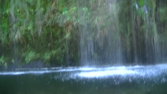 Mossbrae Falls Powerful Force