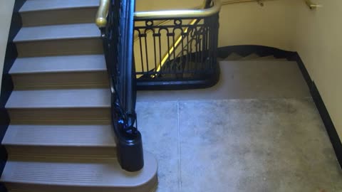 5189CHOB04Stair3_2021-01-06_11h40min02s673ms.mp4