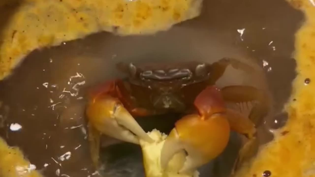New Viral Funny Short Video 😂😂😂😂😂😂