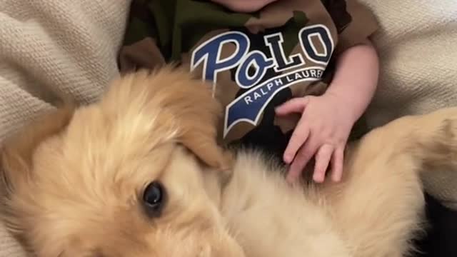 Adorable baby and cute puppy