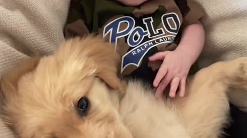 Adorable baby and cute puppy