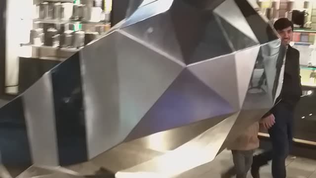 Adelaide's big pigeon