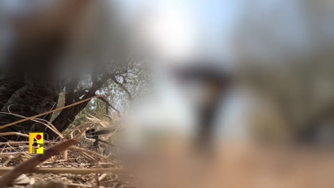 Hezbollah attack #373