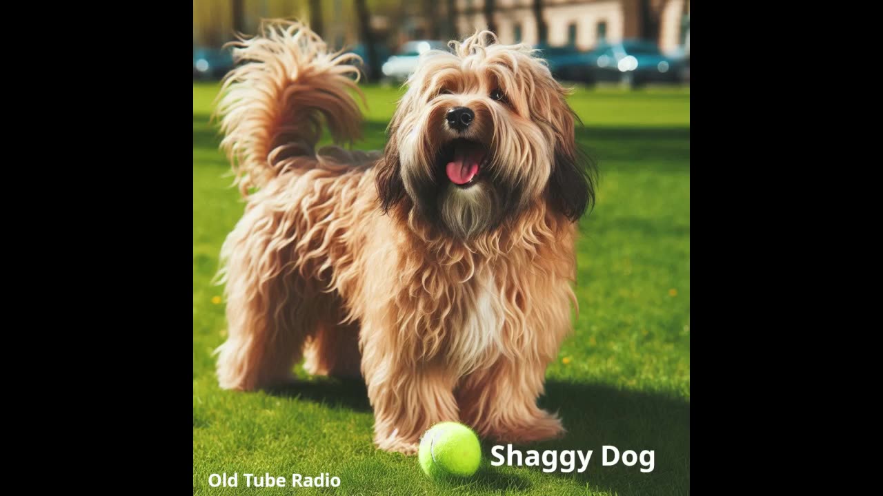 Shaggy Dog by Dennis Potter. BBC RADIO DRAMA