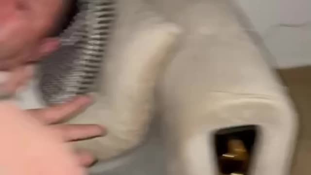 Das video stresst mich irgendwie
