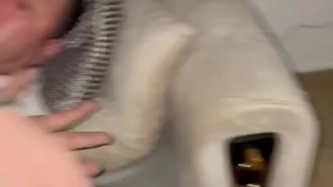 Das video stresst mich irgendwie