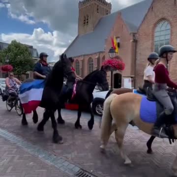 Firefighters, Truckers, and Now Horse Breeders Join the Dutch Farmers In Protest