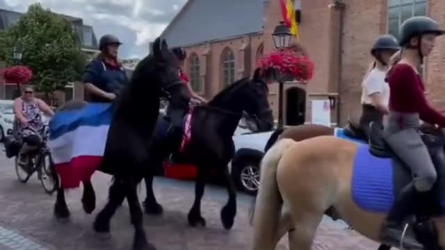 Firefighters, Truckers, and Now Horse Breeders Join the Dutch Farmers In Protest