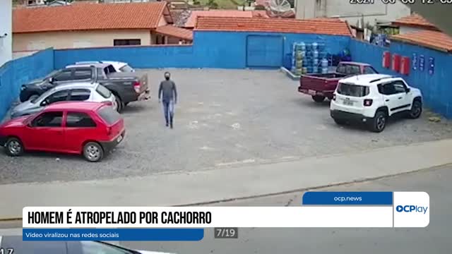 man is run over by dog