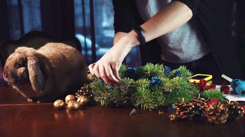 Crop hands making decorative wreath on table with rabbit sitting near