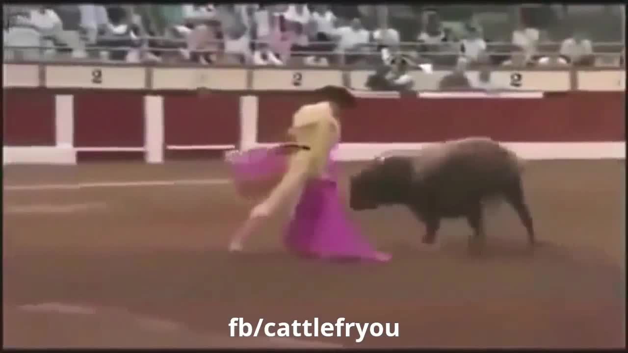 Man vs Cow funny video🐂🐂