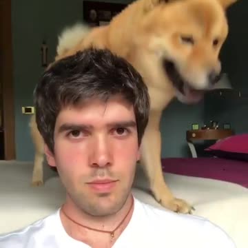 Baby and puppy besties love playing outside together #1456