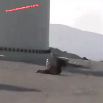 E questo sarebbe il loro green?