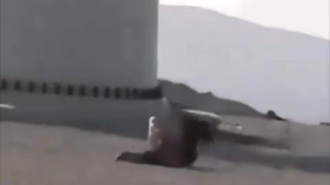 E questo sarebbe il loro green?