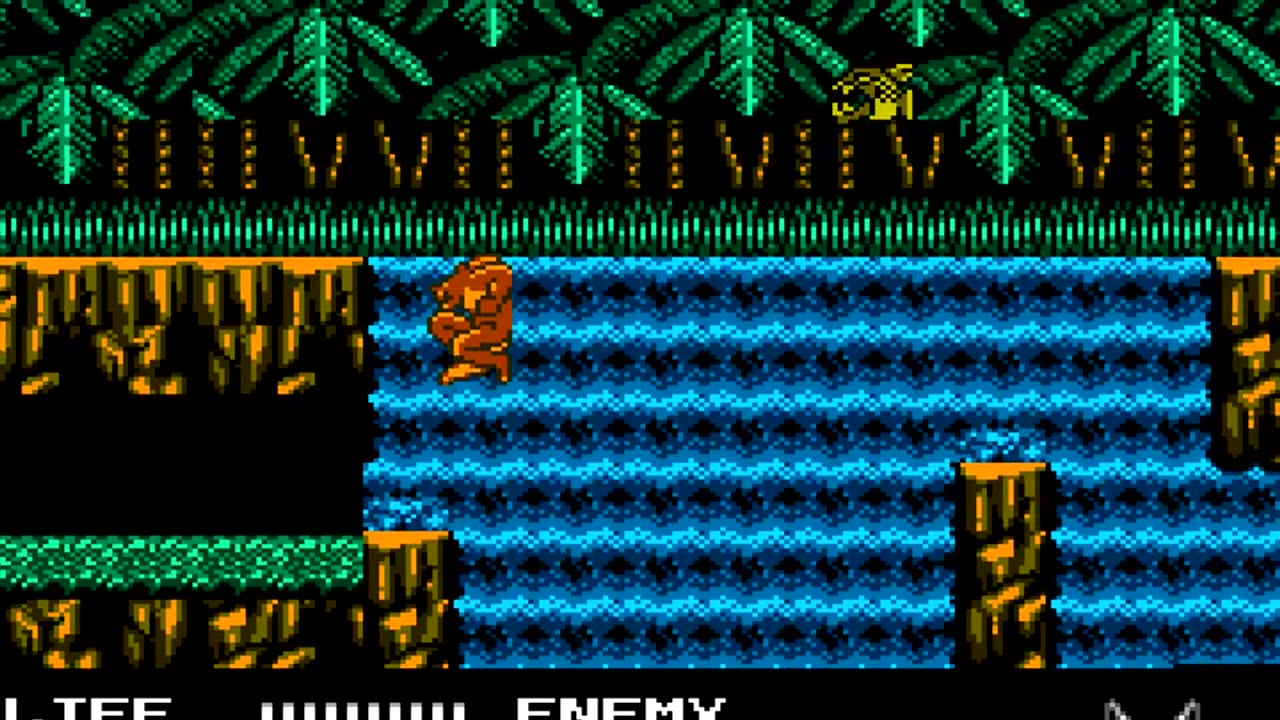 Werewolf_ The Last Warrior (NES)