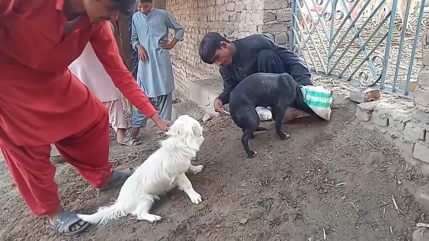 DoG meeting first time