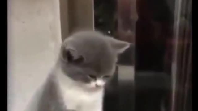 just very cute