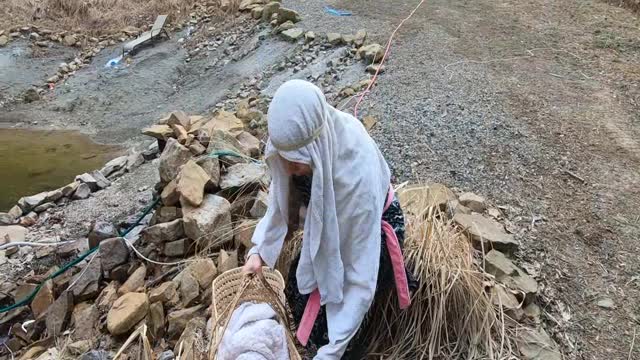 Baby Moses for kids