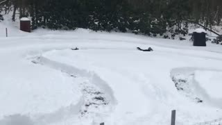 Winter Race Track Carved Into Snow for Doggies